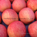 Neue Ernte frischer Apfel / Chines Obst von hoher Qualität